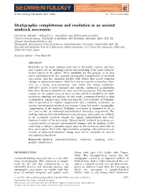 Stratigraphic Completeness and Resolution in an Ancient Mudrock Succession
