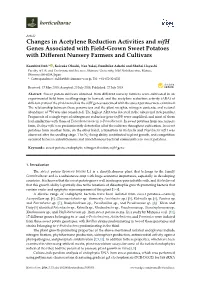 Changes in Acetylene Reduction Activities and Nifh Genes Associated with Field-Grown Sweet Potatoes with Diﬀerent Nursery Farmers and Cultivars