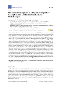 Molecular Investigation of CO2/CH4 Competitive Adsorption and Conﬁnement in Realistic Shale Kerogen