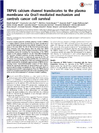 TRPV6 Calcium Channel Translocates to the Plasma Membrane Via Orai1-Mediated Mechanism and Controls Cancer Cell Survival