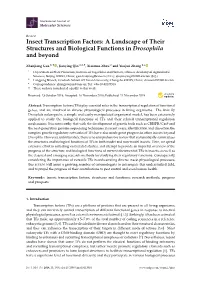 Insect Transcription Factors: a Landscape of Their Structures and Biological Functions in Drosophila and Beyond