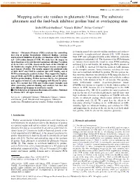Mapping Active Site Residues in Glutamate-5-Kinase. the Substrate Glutamate and the Feed-Back Inhibitor Proline Bind at Overlapping Sites