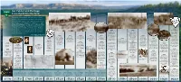 Our Public Land Heritage: from the GLO to The