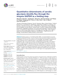 Quantitative Determinants of Aerobic Glycolysis Identify Flux Through The