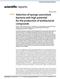Selection of Sponge-Associated Bacteria with High Potential for The