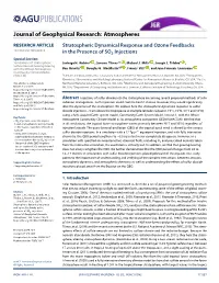 Stratospheric Dynamical Response and Ozone Feedbacks in The