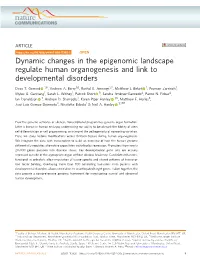 Dynamic Changes in the Epigenomic Landscape Regulate Human Organogenesis and Link to Developmental Disorders