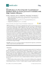 Identification of a Novel Specific Cucurbitadienol Synthase Allele In