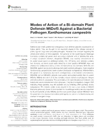 Modes of Action of a Bi-Domain Plant Defensin Mtdef5 Against a Bacterial Pathogen Xanthomonas Campestris
