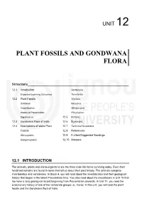 Plant Fossils and Gondwana Flora