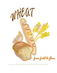 Wheat from Field to Flour