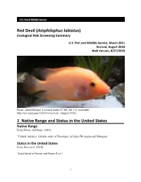 Amphilophus Labiatus) Ecological Risk Screening Summary
