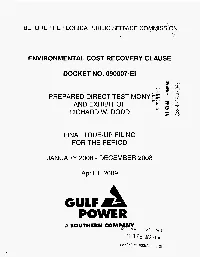 Environmental Cost Recovery Clause Docket No
