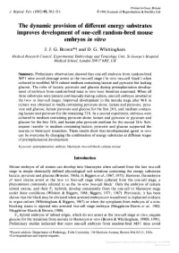 Improves Development of One-Cell Random-Bred Mouse Embryos in Vitro J