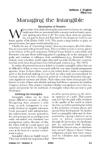 Managing the Intangible
