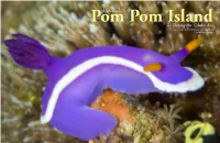 Pom Pom Island Dive Boat Ready for Departure (Above); Light Filtering Through Structure, Mataking House Reef (Right)