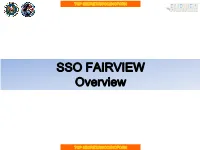 SSO FAIRVIEW Overview