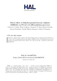 DHEAS) on PC-12 Cell Differentiation Processes Christian G