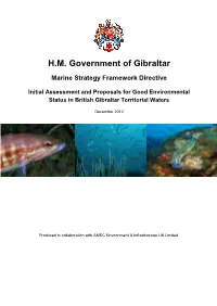 Marine Strategy Framework Directive