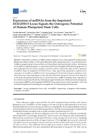 Expression of Mirnas from the Imprinted DLK1/DIO3 Locus Signals the Osteogenic Potential of Human Pluripotent Stem Cells