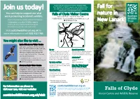 Fall for Nature in New Lanark