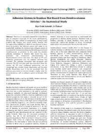 Adhesion System in Bamboo Mat Board from Dendrocalamus Strictus – an Anatomical Study