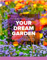 How to Design Your Dream Garden Expert Tips for Creating a Garden That Feels Good