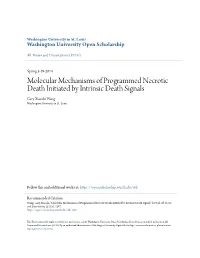 Molecular Mechanisms of Programmed Necrotic Death Initiated by Intrinsic Death Signals Gary Xiaoshi Wang Washington University in St