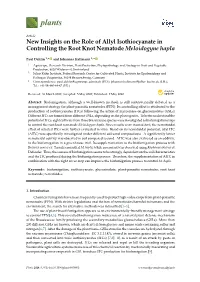 New Insights on the Role of Allyl Isothiocyanate in Controlling the Root Knot Nematode Meloidogyne Hapla
