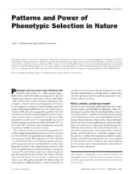 Patterns and Power of Phenotypic Selection in Nature