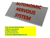 Sympathetic Nervous System