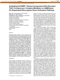 TLE1 Corepressor Complex Mediates a Camkinase II␦-Dependent Neurogenic Gene Activation Pathway