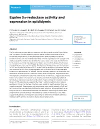 Equine 5Α-Reductase Activity and Expression in Epididymis