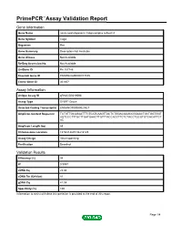 Primepcr™Assay Validation Report