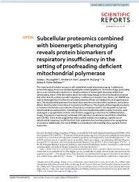 Subcellular Proteomics Combined with Bioenergetic Phenotyping Reveals
