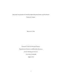 Harvard Thesis Template