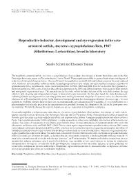 Reproductive Behavior, Development and Eye Regression in the Cave
