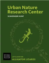 This PDF Guide