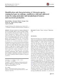 Identification and Characterization of Alternaria Species Causing Leaf Spot