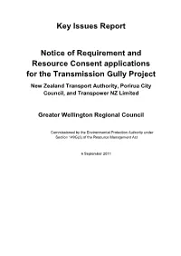 Key Issues Report Notice of Requirement and Resource