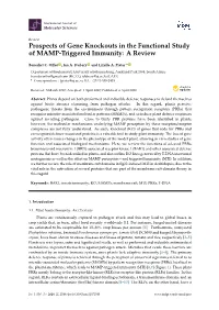 Prospects of Gene Knockouts in the Functional Study of MAMP-Triggered Immunity: a Review