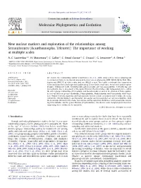 Acanthomorpha, Teleostei): the Importance of Working at Multiple Scales ⇑ A.-C