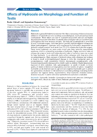 Effects of Hydrocele on Morphology and Function of Testis