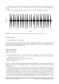 The Integer Group Gryllus Integer Scudder