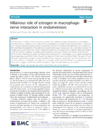 Villainous Role of Estrogen in Macrophage-Nerve Interaction In