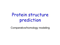 Protein Structure Prediction