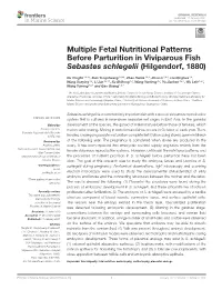 Multiple Fetal Nutritional Patterns Before Parturition in Viviparous Fish Sebastes Schlegelii (Hilgendorf, 1880)