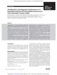 Identification and Diagnostic Performance of a Small RNA Within the PCA3 and BMCC1 Gene Locus That Potentially Targets Mrna