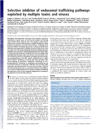 Selective Inhibitor of Endosomal Trafficking Pathways Exploited By