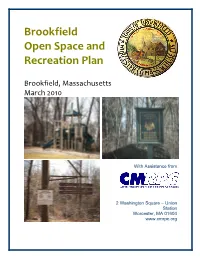 Brookfield Open Space and Recreation Plan